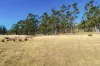 4 D'Entrecasteaux Drive, North Bruny, Tas 7150-Image