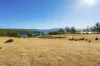 4 D'Entrecasteaux Drive, North Bruny, Tas 7150-Image