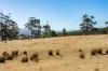 4 D'Entrecasteaux Drive, North Bruny, Tas 7150-Image