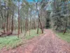 4 DIELHOF DRIVE, Wondecla, Qld 4887-Image