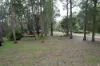 4 Dielhof Drive, Wondecla, Qld 4887-Image