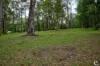 4 Dielhof Drive, Wondecla, Qld 4887-Image