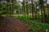 4 Dielhof Drive, Wondecla, Qld 4887-Image