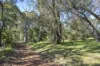 4 Drummond Glen, Naturaliste, WA 6281-Image