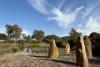 4 Dunnfield Drive, Mount Torrens, SA 5244-Image