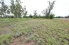 4 Elizabeth Street, Duaringa, Qld 4712-Image