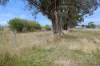 4 Franklings Road, Harcourt North, Vic 3453-Image