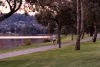 4 Geebung Loop, Lake Albert, NSW 2650-Image