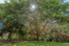 4 Harper Court, Casuarina, NSW 2487-Image