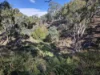 4 Helena Court, Shepherds Flat, Vic 3461-Image