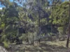 4 Helena Court, Shepherds Flat, Vic 3461-Image