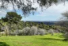 4 Knoll Crescent, Teringie, SA 5072-Image