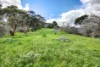 4 Knoll Crescent, Teringie, SA 5072-Image
