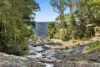 4 Kuralboo Street, Springbrook, Qld 4213-Image