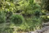 4 Kuralboo Street, Springbrook, Qld 4213-Image