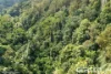 4 Kuralboo Street, Springbrook, Qld 4213-Image