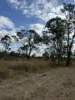 4 Mayne Street, Tiaro, Qld 4650-Image