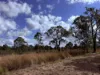4 Mayne Street, Tiaro, Qld 4650-Image