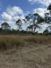 4 Mayne Street, Tiaro, Qld 4650-Image