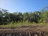 4 Moreton Outlook, Russell Island, Qld 4184