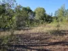 4 Moreton Outlook, Russell Island, Qld 4184-Image