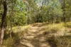 4 Parragilga Close, Wights Mountain, Qld 4520-Image