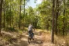 4 Parragilga Close, Wights Mountain, Qld 4520-Image