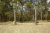 4 Parragilga Close, Wights Mountain, Qld 4520-Image