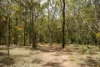 4 Parragilga Close, Wights Mountain, Qld 4520-Image