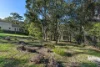 4 Seagrass Row, Murrays Beach, NSW 2281-Image