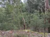 4 Sir Henrys Parade, Faulconbridge, NSW 2776-Image