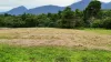 4 Whittington Close, Goldsborough, Qld 4865-Image