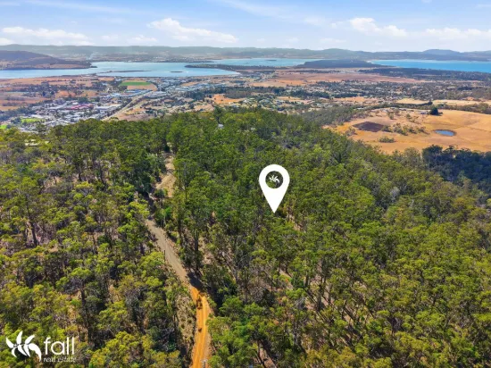 40 Dexter Drive, Mount Rumney, Tas 7170