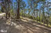 40 Dexter Drive, Mount Rumney, Tas 7170-Image