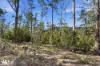40 Dexter Drive, Mount Rumney, Tas 7170-Image