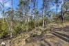 40 Dexter Drive, Mount Rumney, Tas 7170-Image
