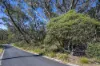 40 Explorers Road, Katoomba, NSW 2780-Image