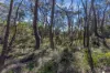 40 Explorers Road, Katoomba, NSW 2780-Image