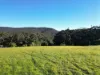 40 Macpherson Drive, Nornalup, WA 6333-Image