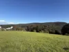 40 Macpherson Drive, Nornalup, WA 6333-Image