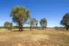 40 Marland Road, Barkly, Vic 3384-Image