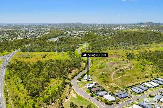 40 Seagull Boulevard, Kirkwood, Qld 4680