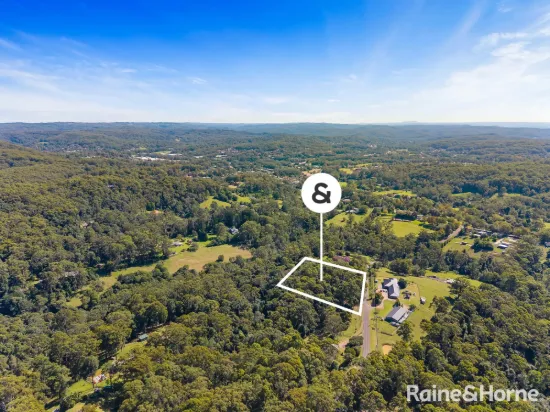 40 Tapley Road, Mount Elliot, NSW 2250