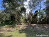 40 Tapley Road, Mount Elliot, NSW 2250-Image