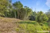 40 Tapley Road, Mount Elliot, NSW 2250-Image