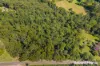 40 Tapley Road, Mount Elliot, NSW 2250-Image