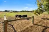 40 Vaughan Street, Raglan, Vic 3373-Image