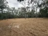 402 Adies Road, Isis Central, Qld 4660-Image