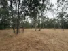 402 Adies Road, Isis Central, Qld 4660-Image