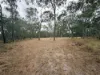 402 Adies Road, Isis Central, Qld 4660-Image
